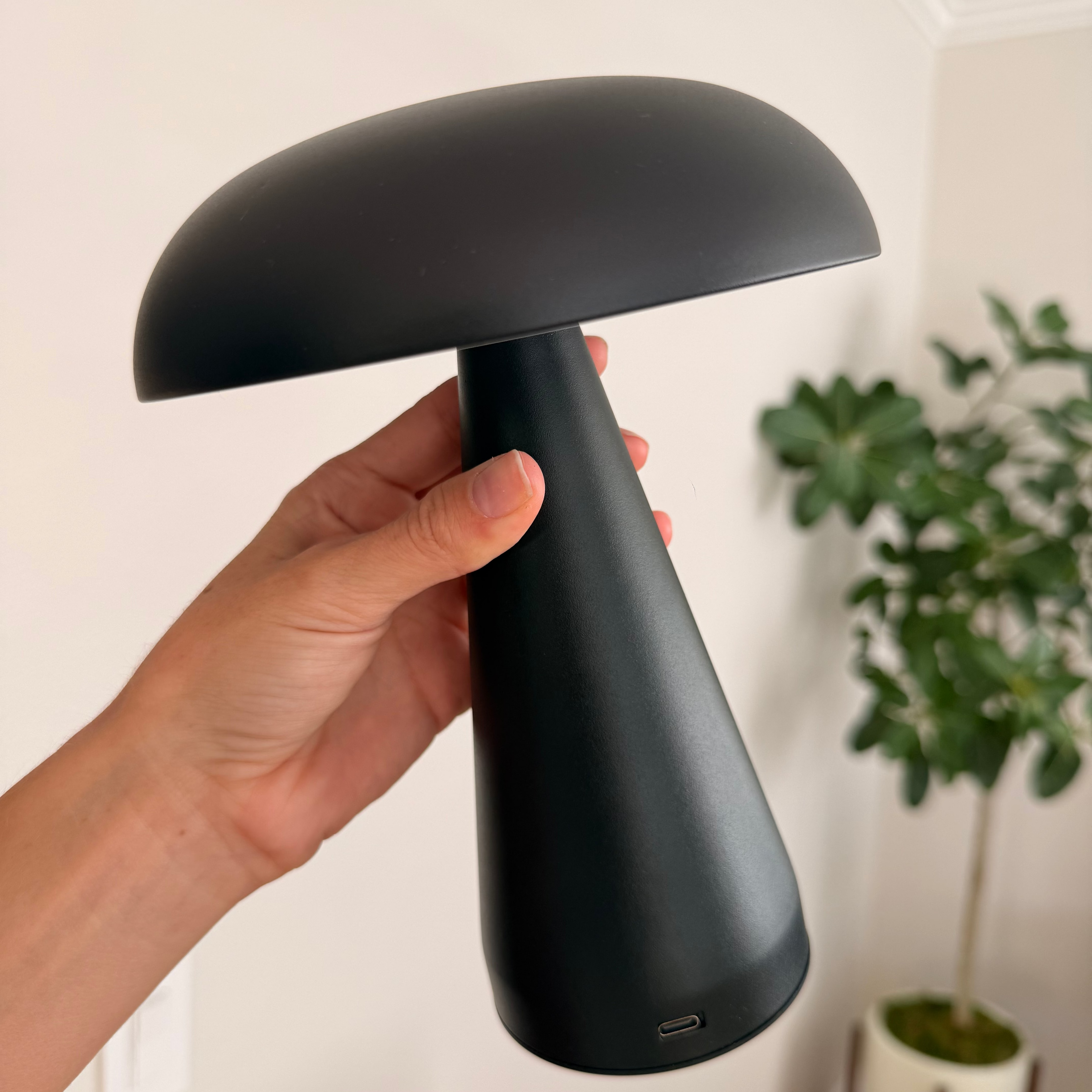 Mini sopp lampe med usb-c input.